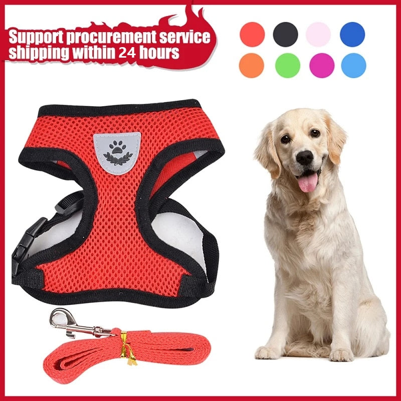 Dog Cat Harness and Leashs Set Soft Training Mesh Chest Strap Outdoor Walking Rswank