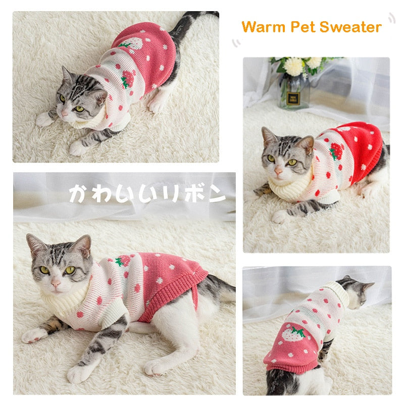 Puppy Cat Sweater Rswank